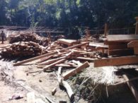 ပဲခူးရိုးမသစ်တောများအတွင်း အခြေစိုက်စခန်းများဖွင့်ကာ သစ်ခိုးခုတ်မှုများလုပ်ဆောင်နေကြ 